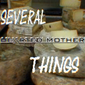 Several Things Cover